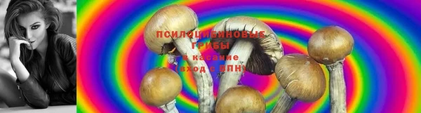 jwh Козельск