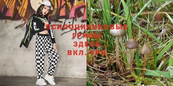 меф VHQ Козловка