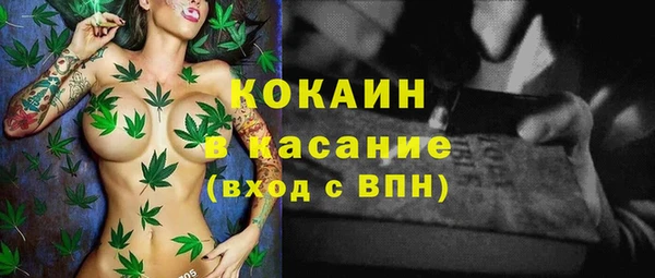 PSILOCYBIN Кодинск