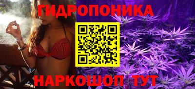 гашиш Новодвинск