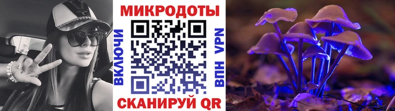 блэк спрут зеркало Ярославль Галлюциногенные грибы ЛСД