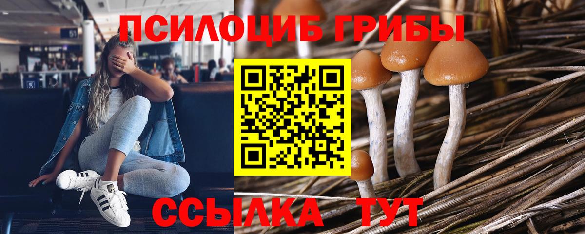 Галлюциногенные грибы прущие грибы Ярославль