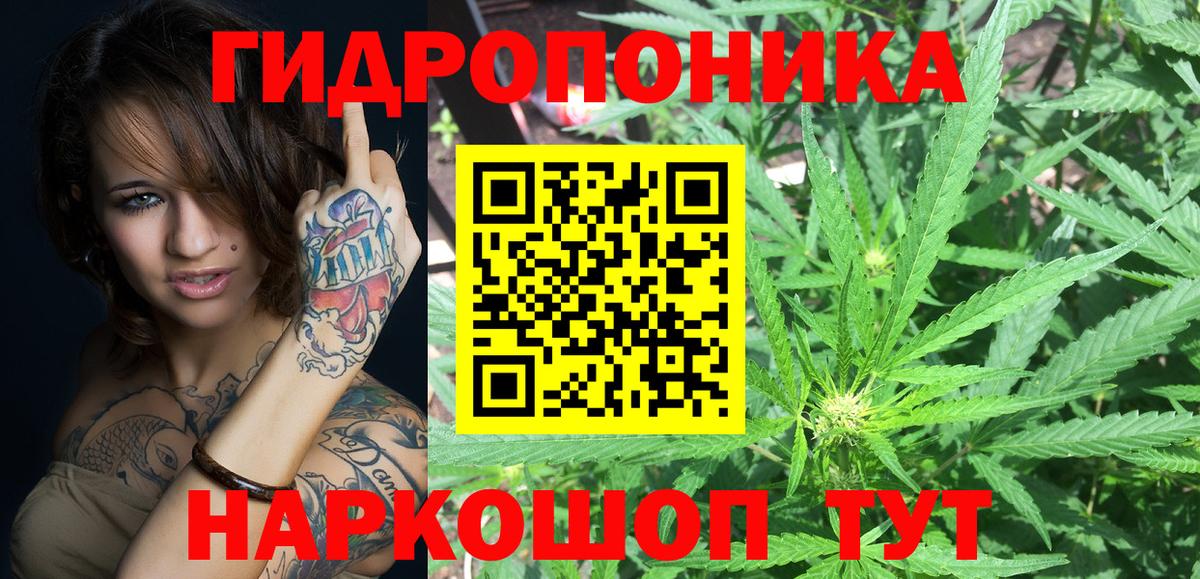 Конопля марихуана  Шишки марихуана ГИДРОПОН  Вход с VPN  Конопля план  Каннабис VHQ  Ярославль 